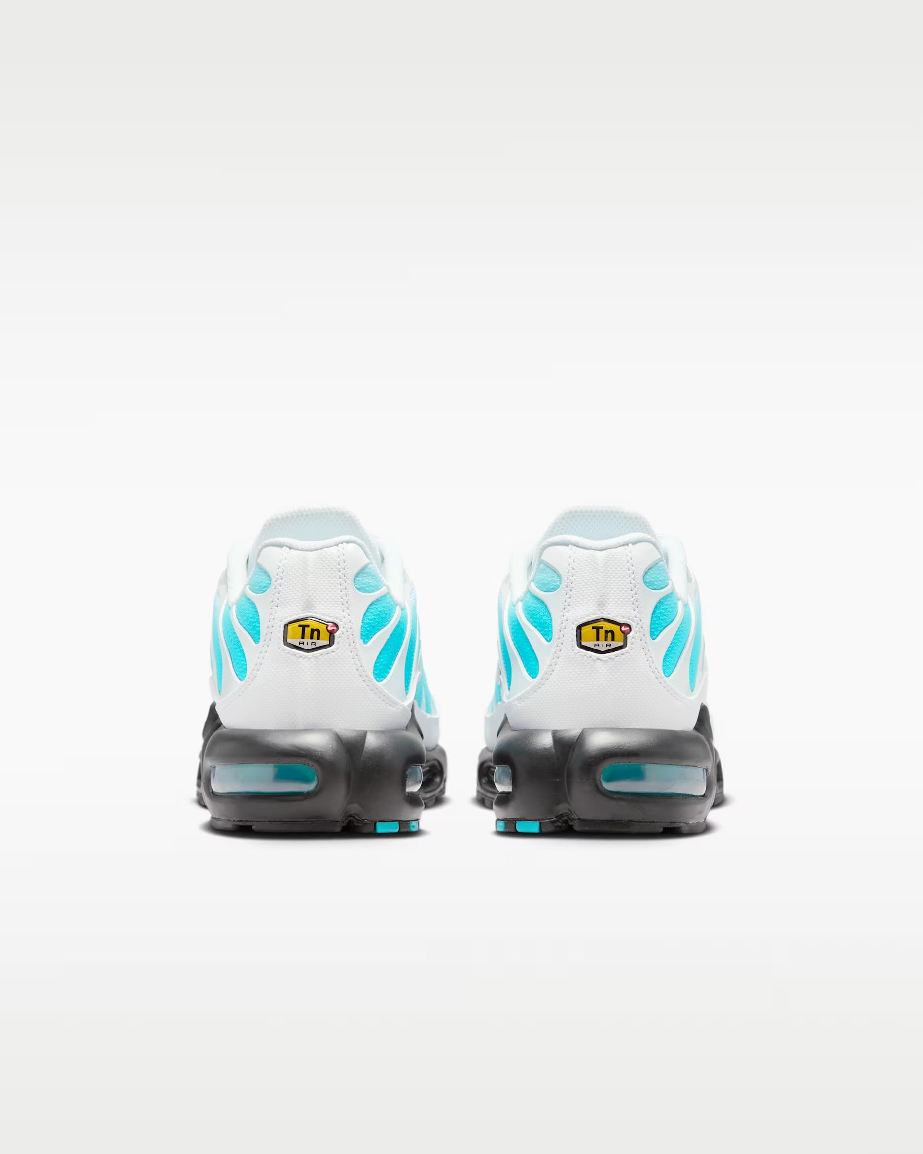 Air Max Plus Dusty Cactus