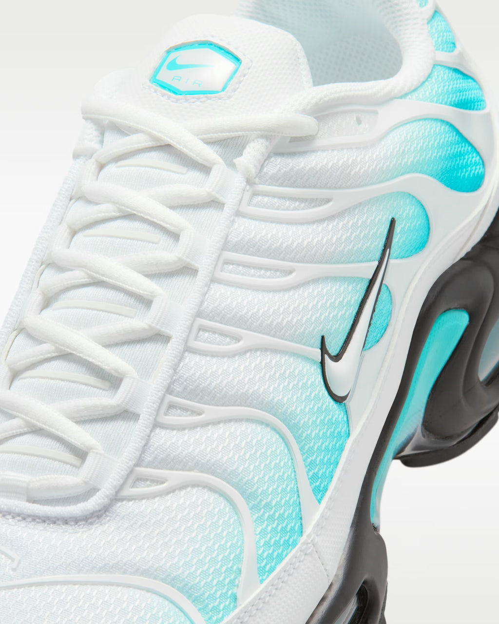 Air Max Plus Dusty Cactus