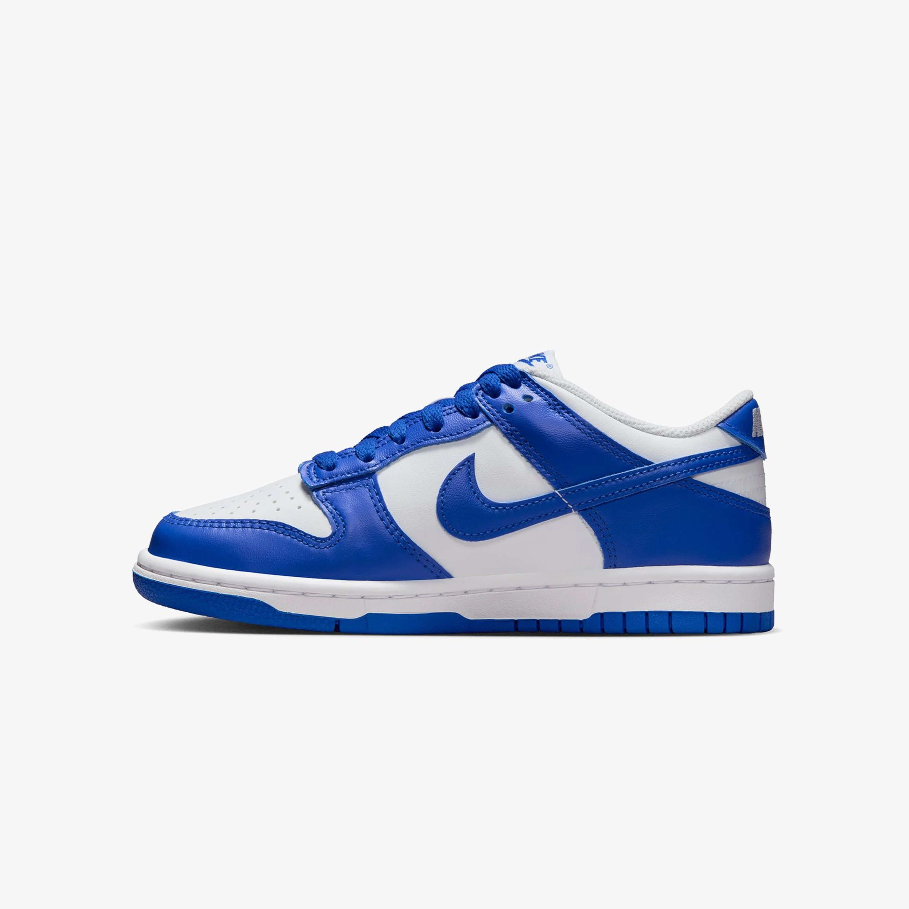 Dunk Low Mavi Spor Ayakkabı