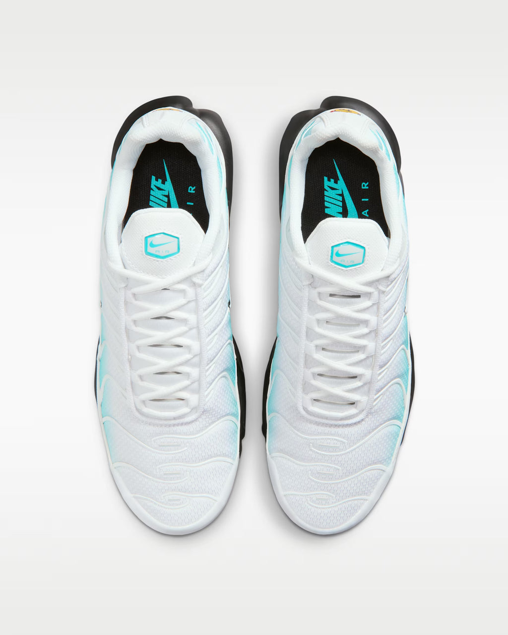Air Max Plus Dusty Cactus