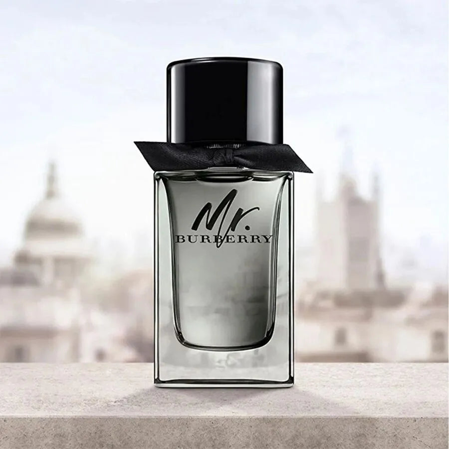 Mr. Erkek Parfüm 100 ML