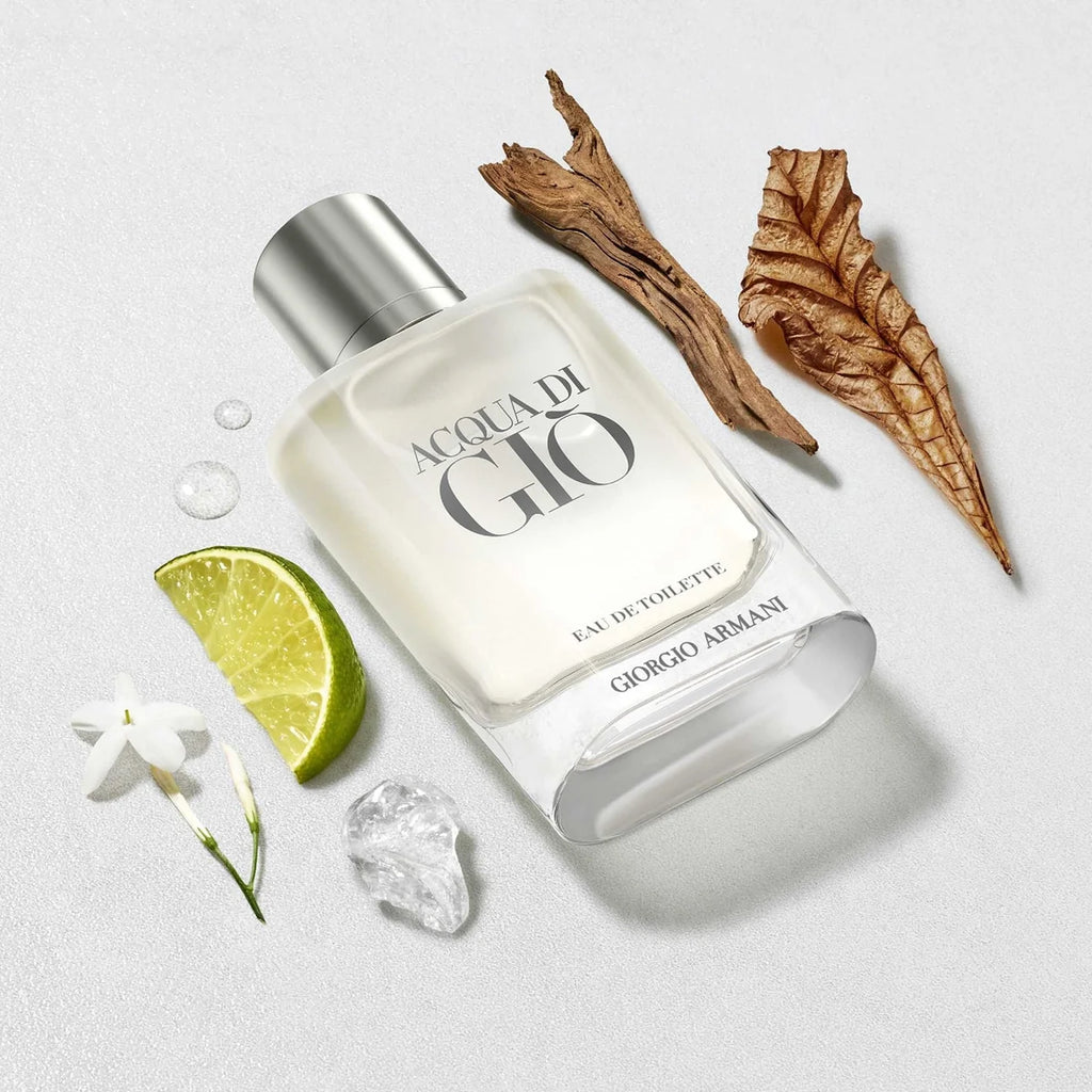 Acqua di Gio Erkek Parfüm 100 ML