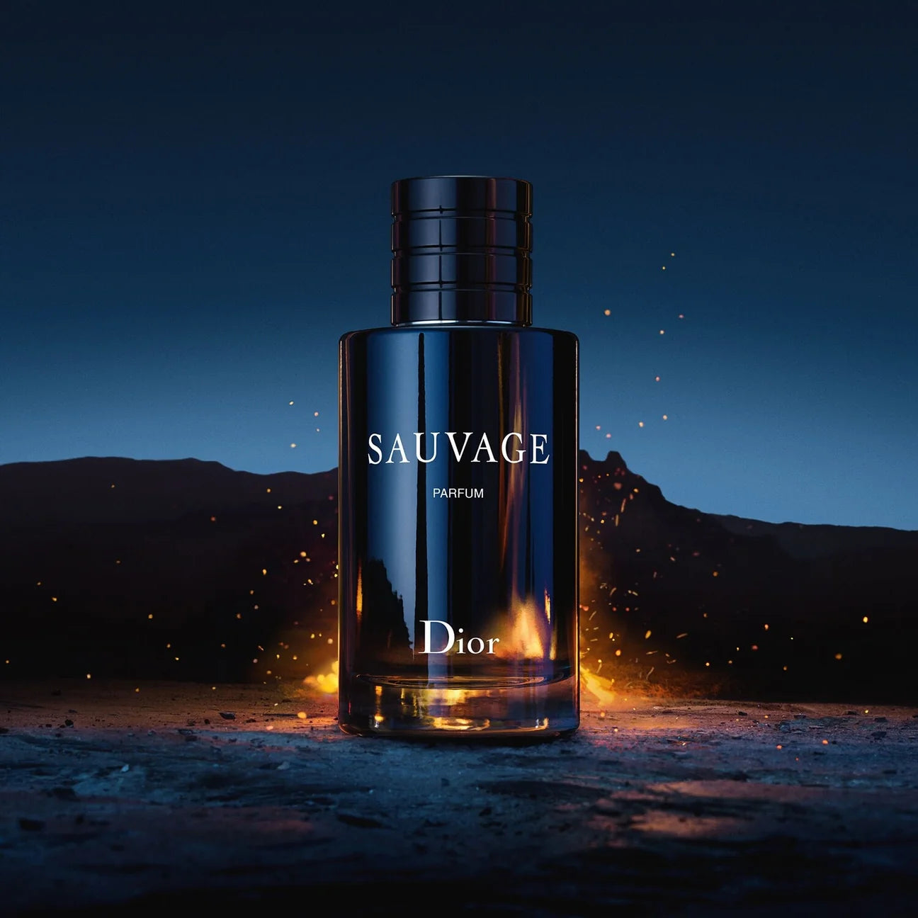 Sauvage Erkek Parfüm 100 ML